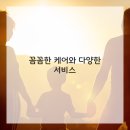 애견스토리