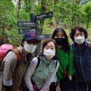 미미존 이미지