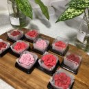 도봉-도봉-서울도봉-2168 이미지