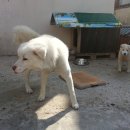 계월농장 이미지