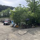 꽃이야 나무야 파주 이미지