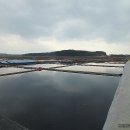 곰섬해수욕장 이미지