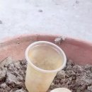 각골농장 이미지