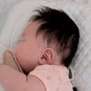 신생아 접힌 귀 셀프교정 방법 및 골든타임 후기