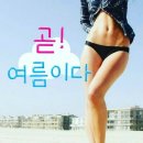 36.5체온다이어트 이미지
