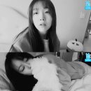 필라테스한다