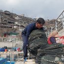 강구중고등학교 이미지