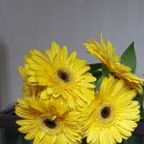 김해시농기계임대사업소대동분소 이미지