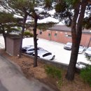 진부령 한증막 이미지