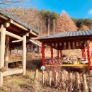 슬로시티삼지내마을 | 슬로시티삼지내마을 방문 후기: 자연 속 힐링 스팟