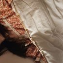 헬퍼독 애견펜션 | 자쿠지 있는 경주 애견동반 펜션 경주헬퍼독애견펜션 1박 후기