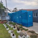 곡강초등학교 이미지