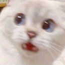 윤유 이미지