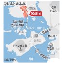 '여의도 9배' 강화 토지 규제 완화..역대·전국 최대 이미지