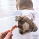 나니스펫푸드 | 나니스펫푸드 애견수제간식쇼핑몰 후기