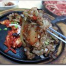팔도오돌뼈