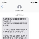 수수국수 이미지