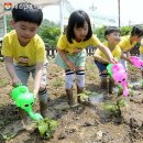 월가 농장 이미지