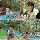 만2세 해님반 ＜퍼포먼스 영어 활동 주제 : Dinosaur World🦖＞ 귀여운 공룡🦕이 되어 이미지