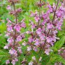 엔트로피발전소 이미지