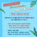 라라스즈키바이올린