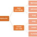 웰파밍 | 눈에 좋은 농산물 마리골드 (루테인의 효능)