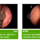 질경이수원 이미지