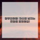 신비헤어 이미지