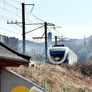 오십천로 이미지