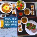 허브나라 자작나무집 이미지