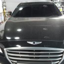 그린광택사 이미지