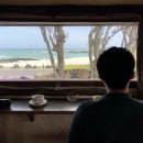 제주도에서 먹고 쉬고(음식점, 카페)