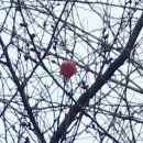 매곡당구장 이미지