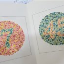 혜전대학구내안경원 이미지