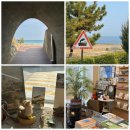 발한로 | [묵호 여행] 동해 묵호 놀거리 감성 카페 소품샵 서점 내돈내산 솔직후기 2탄