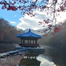 시티원부동산중개 이미지