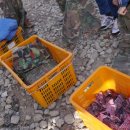 레포츠코리아 이미지