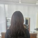 살롱 보헴 이미지