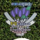 윤썬토퍼