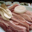 엉터리생고기 이미지