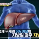 오팔집