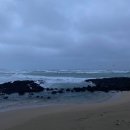 제주 평대독채숙소 재방문후기 1713 in jeju