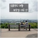퀸스랜드 | 오클랜드 반나절 여행 코스 (렌트카 반납·퀸스트리트·이든산)