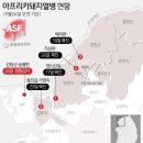 김일환 농장 이미지