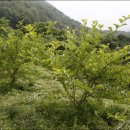 원산농장 이미지