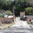 삼화1리 이미지