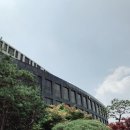 라이코스PC방 | 6월 네이버 블로그 &amp; 포스트 데이 극세사 후기
