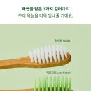 닥터마루