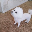 주남사진관 | ★창원 주남사진관 후기★