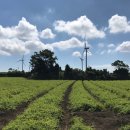 제주토생금공인중개사사무소 이미지